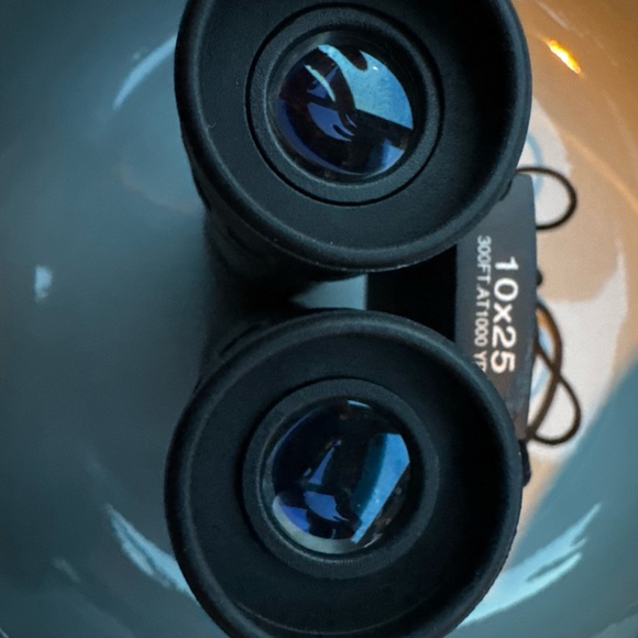 Bushnell 10x25 Compact Binoculars 300ft@1000yds Pocket Travel Hiking w/ Case - Picture 5 of 8